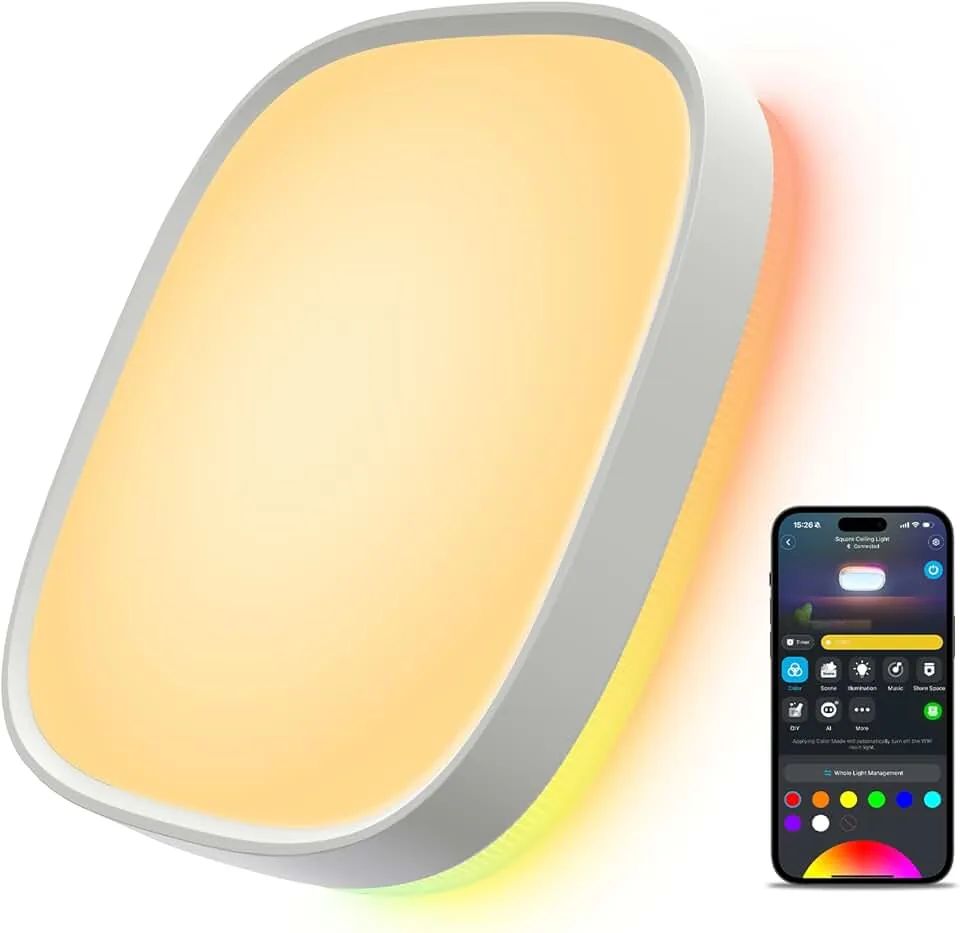Govee Square Ceiling Light