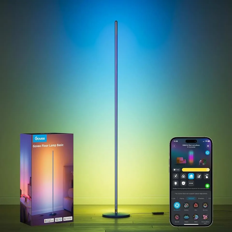 Govee Floor Lamp Basic